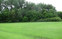 S Third Street, Butterfield, MN 56120