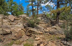 Pickney Rd, Rye, CO 81069