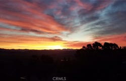 Pineridge, Cambria, CA 93428