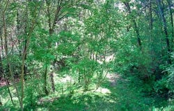 3734 Highway 41 Trail, Ringgold, GA 30736