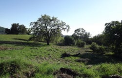 39305 Pine Mountain RD, Cloverdale, CA 95425
