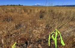 Erickson Rd, Centerville, WA 98613