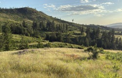 NNA Windfall Pass Rd., Plummer, ID 83851