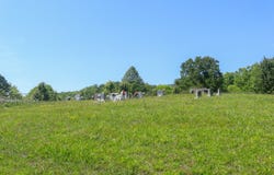 Back Valley Rd, Sneedville, TN 37869
