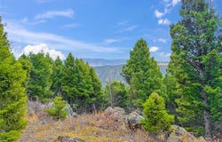 30 Bunks Trail, Ennis, MT 59729