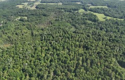 Dickson Road, Brethren, MI 49619