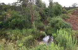Highway 80 Highway, Forest, MS 39074
