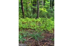 BOULDER Road, UPPER BLACK EDDY, PA 18972