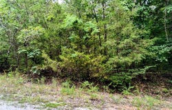Kent Drive lot: 26, Cedar Hill, MO 63016