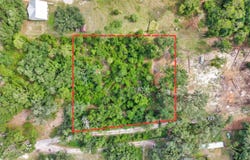 SYDNEY WASHER Road, DOVER, FL 33527