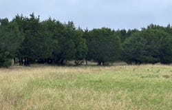 929 CR 2357, Meridian, TX 76665