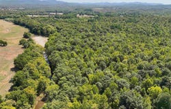 Pole Thicket Road Lot#WP00, Norman, AR 71960