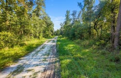 296 NE Haven Drive, Lee, FL 32059