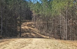 Highway 82 E, Centreville, AL 35042