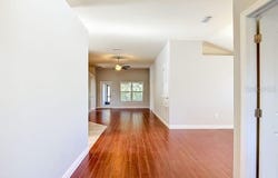 12244 LOOPBACK Drive, SAN ANTONIO, FL 33576