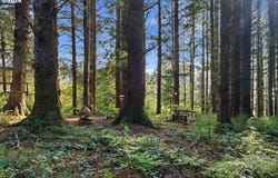 4000 HAMM Rd, Tillamook, OR 97141