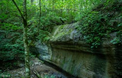 1335 Ben Bloomer Road, Sneedville, TN 37869