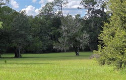 509 N COURT Street, BRONSON, FL 32621