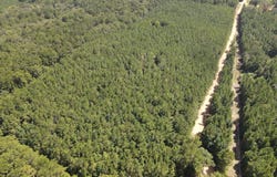 . Mt Gilead, Smithdale, MS 39664