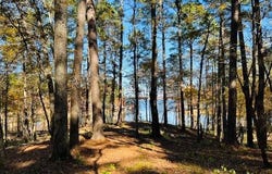 174 Whispering Pines Rd, Milam, TX 75959