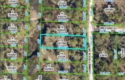 CHIMNEY ROCK Drive, WEBSTER, FL 33597