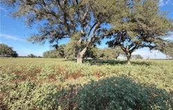1665 Garrett Road, Yoakum, TX 77995