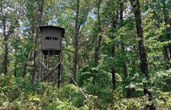 400 Hidden Creek, Melbourne, AR 72556