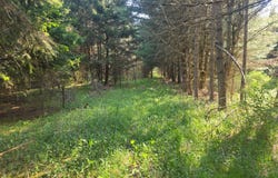 0wp Warren Rd, New Berlin, NY 13411