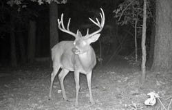TBD Williams RD, Blanco, OK 74528
