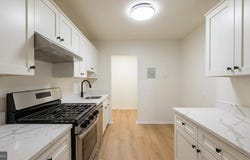 19419 BRASSIE Place, MONTGOMERY VILLAGE, MD 20886