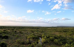 5725 Farm Market 604, Ovalo, TX 79567
