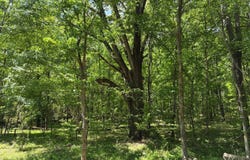 N Osborntown Rd, Arlington, TN 38002