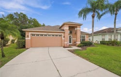 1201 DUSTAN Place, TRINITY, FL 34655