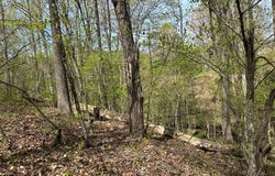 Gladys Road, Altavista, VA 24517