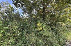 165 Merdian Road, Philippi, WV 26416