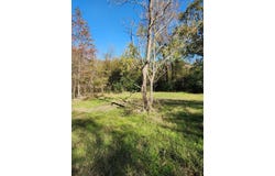 6419 Locust Street, Murchison, TX 75778