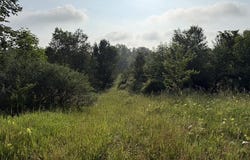 PARCEL B E M-79, NASHVILLE, MI 49073