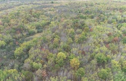 20th Avenue, Cadott, WI 54727