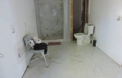 11811 HWY 248 E, WALDRON, AR 72958