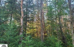 5172 S M-33, Alger, MI 48610