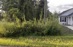 Cloer Lane, Crawfordville, FL 32327