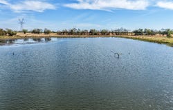 CR 4758, Sulphur Springs, TX 75482