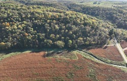 Penny Springs Rd, Luana, IA 52156