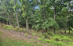 Pin Oak Dr, Blue Ridge, VA 24064