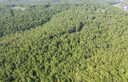 000 County Rd 319, Tecumseh, MO 65760