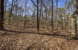 Whipporwill Lane, Choctaw, AR 72031