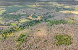 Baxter Norris Rd, Crab Orchard, TN 37723