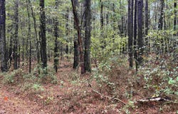 275 JONESBORO CIRCLE, COLUMBIANA, AL 35051