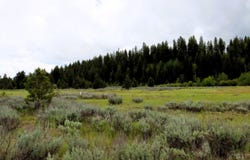 L24 Targhee Ct, McCall, ID 83638