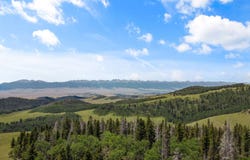 1705 Adams Ave, Westcliffe, CO 81252